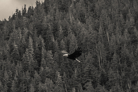 170729_Alaska_2991-2