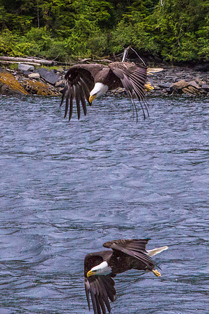 170729_Alaska_2943