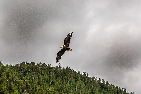 170729_Alaska_2971