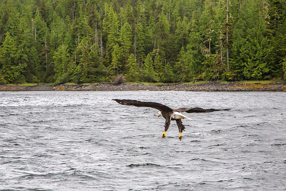 170729_Alaska_2974