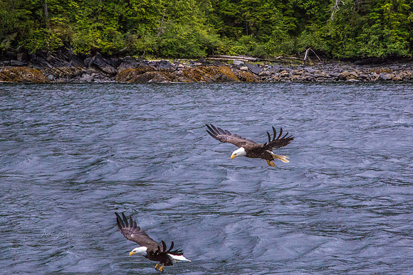 170729_Alaska_2944-Edit