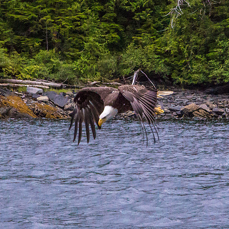 170729_Alaska_2943-2
