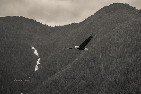 170729_Alaska_3007