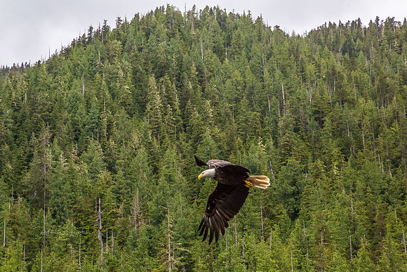 170729_Alaska_2951