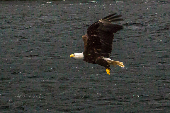 170729_Alaska_3002