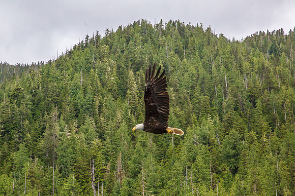 170729_Alaska_2955