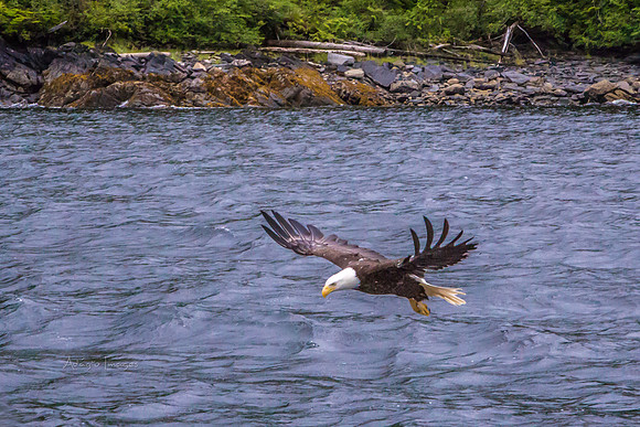 170729_Alaska_2944-Edit-2