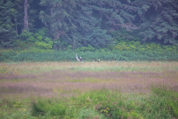 170726_Alaska_1635