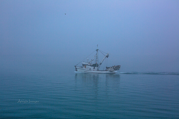 170726_Alaska_1545
