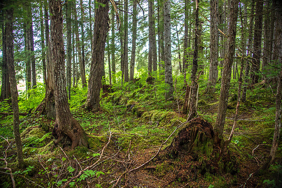 170726_Alaska_1630