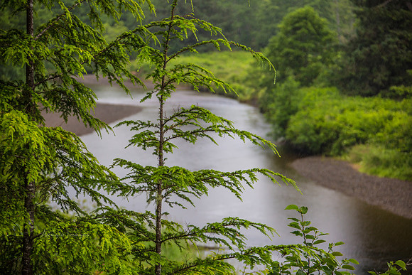 170726_Alaska_1688