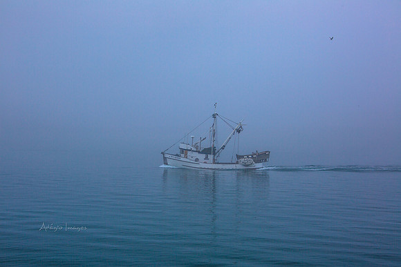 170726_Alaska_1546
