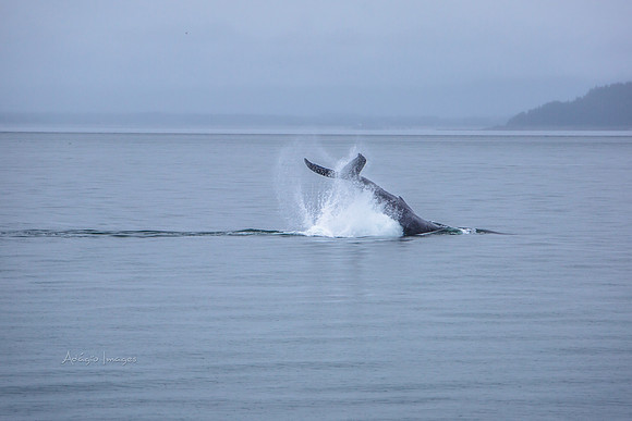 170726_Alaska_1213