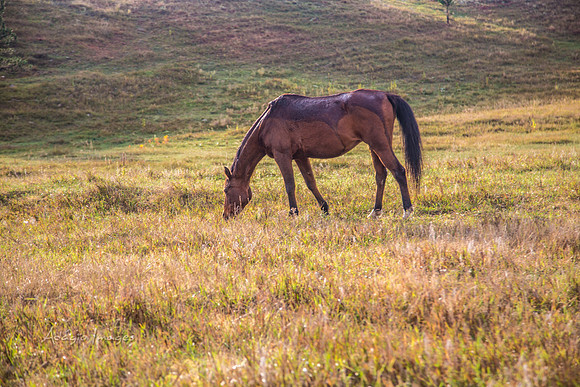 Hermosa, South Dakota
