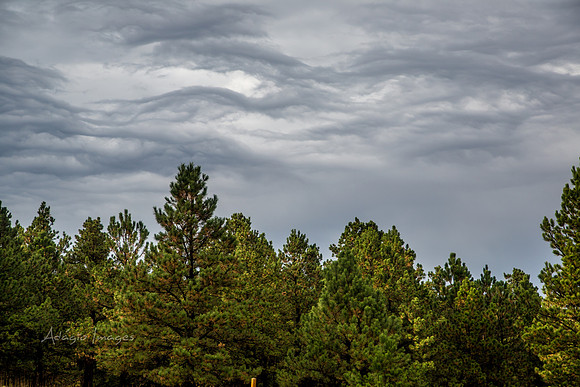 Hermosa, South Dakota