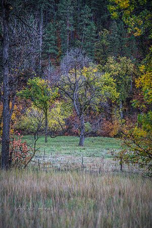 Hermosa, South Dakota
