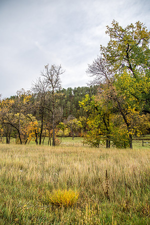 Hermosa, South Dakota