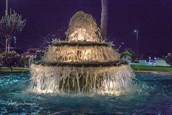 Oakland Temple Grounds