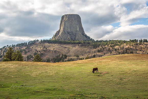 Devil's Tower