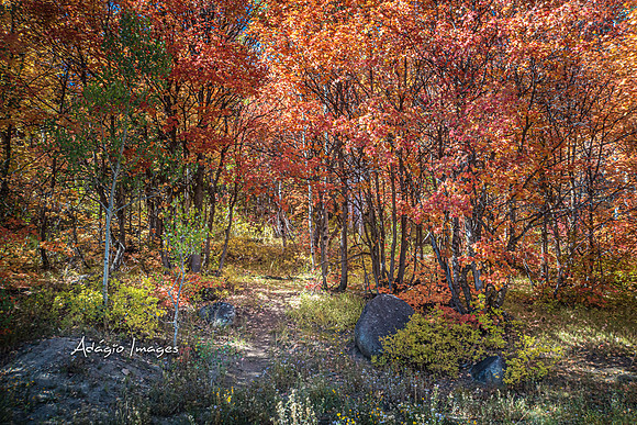 210926_Guardsman Pass_096