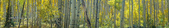 210926_Guardsman Pass_145-Pano