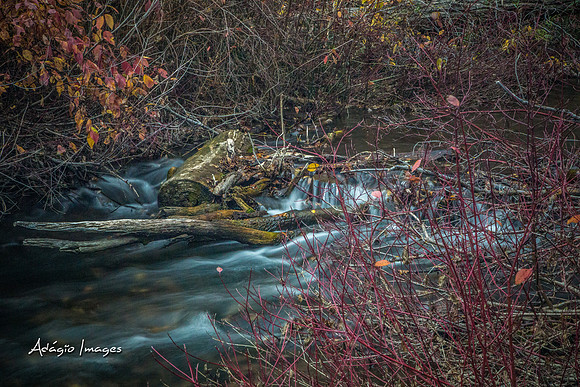 Millcreek Canyon