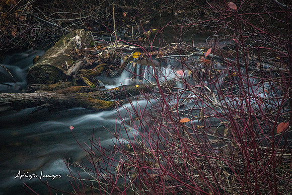 Millcreek Canyon