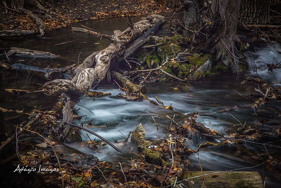 Millcreek Canyon