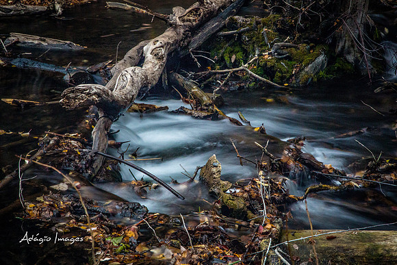 Millcreek Canyon
