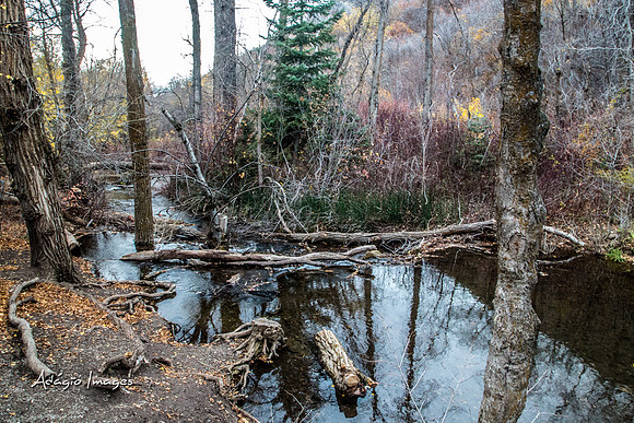 Millcreek Canyon