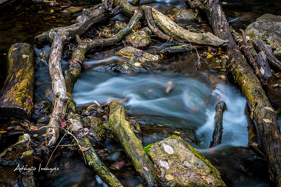 Millcreek Canyon