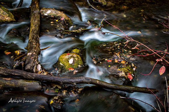 Millcreek Canyon