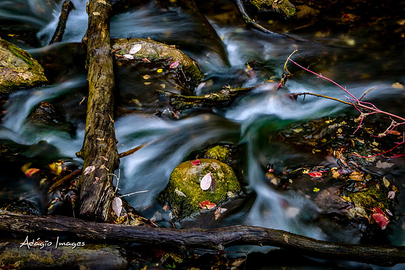 Millcreek Canyon