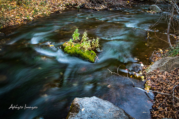 Millcreek Canyon