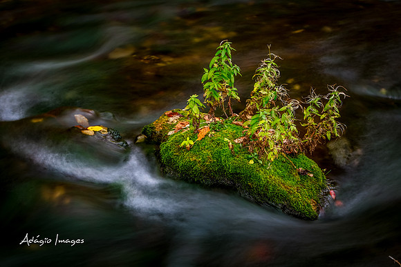 Millcreek Canyon