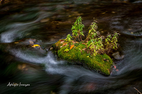 Millcreek Canyon