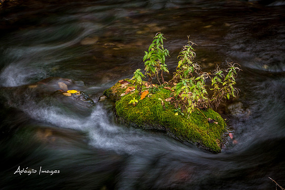 Millcreek Canyon
