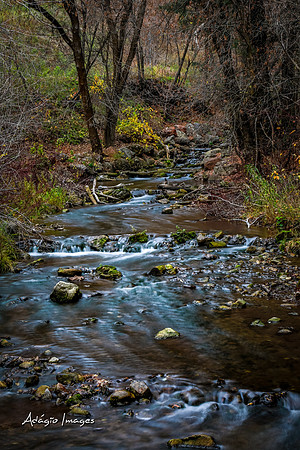 Millcreek Canyon