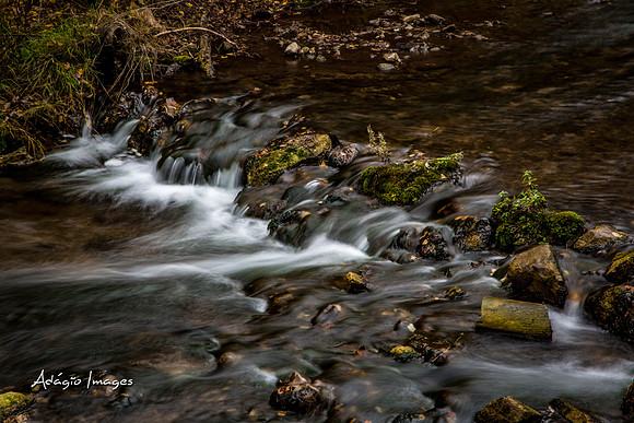 Millcreek Canyon
