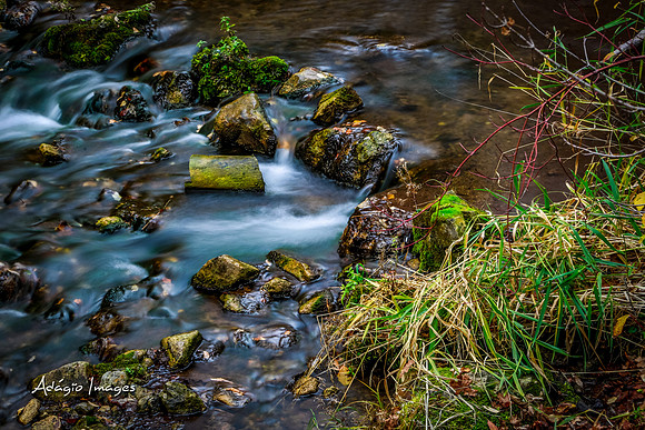 Millcreek Canyon