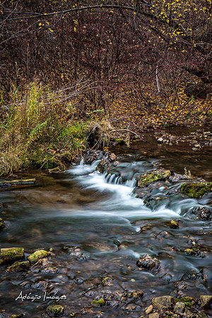 Millcreek Canyon