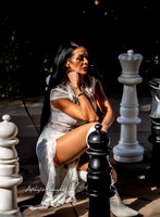Queen's Gambit