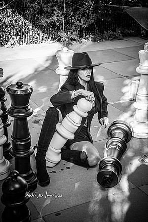 Queen's Gambit