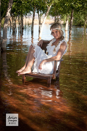 Shanna N.