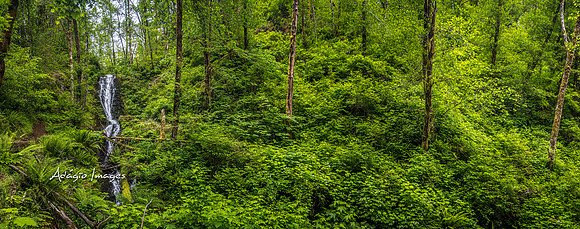 220619_a6400_1178-Pano