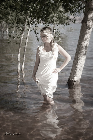 Shanna N.