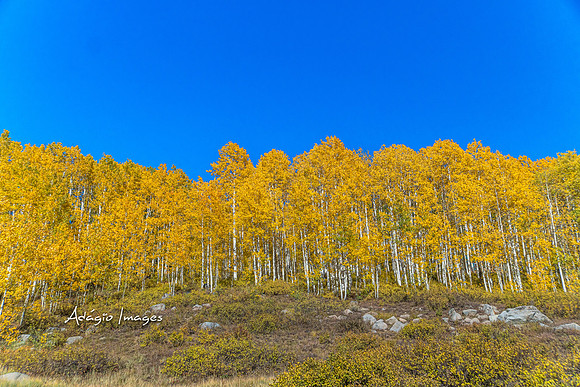 210926_Guardsman Pass_132