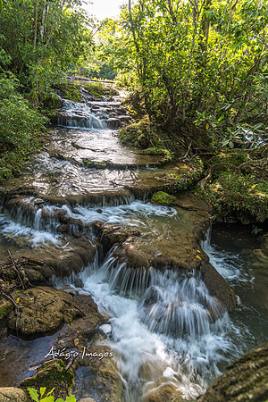 221107_Bonito B_165