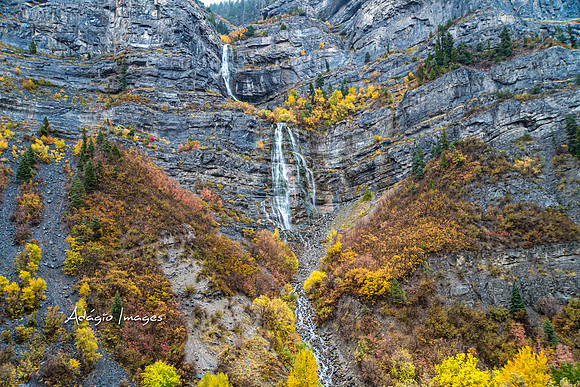 221022_Bridal Veil_007