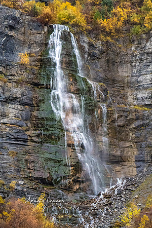 221022_Bridal Veil_033